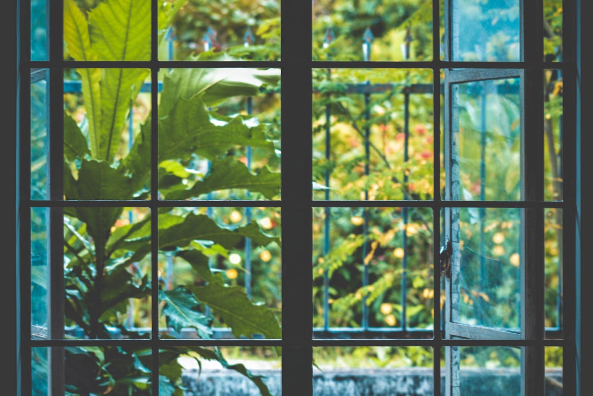 Wie kann man Fenster streifenfrei putzen, ohne teure Mittel