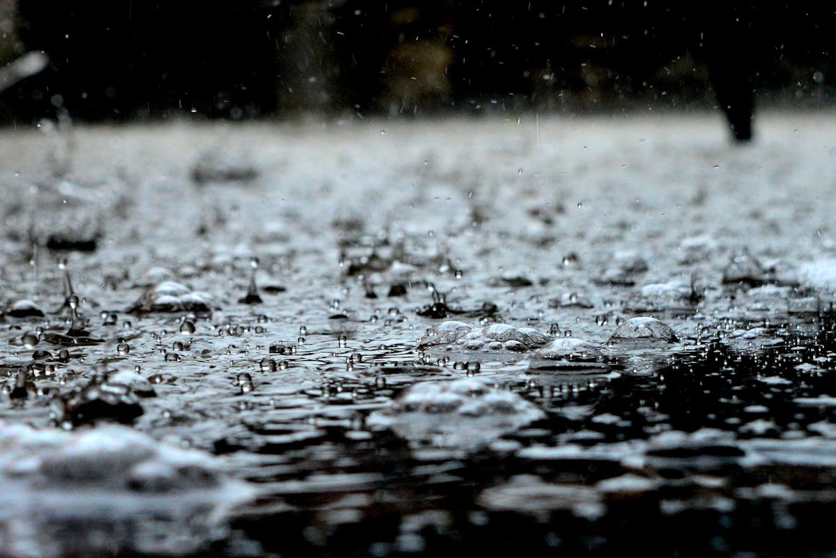Einparkhilfe geht nach Regen nicht Diese Sensoren könnten defekt sein