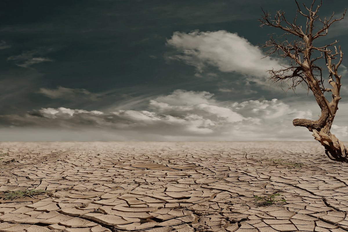 Wie beeinflusst der Klimawandel die Landwirtschaft in Europa​